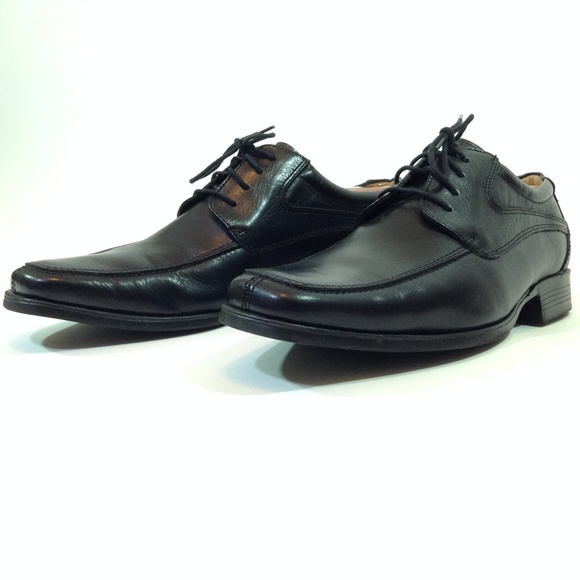 Meet your Posher, Cat - Picture 7 of 8